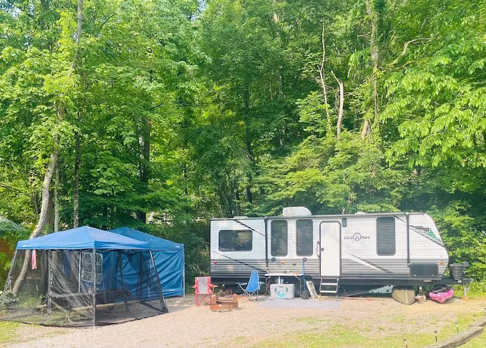 Yough Lake Campground Picture 9