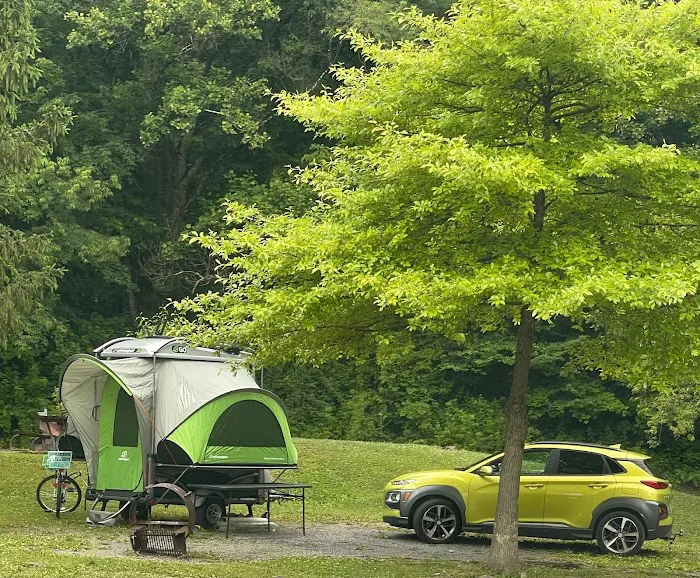 Yough Lake Campground Picture 4
