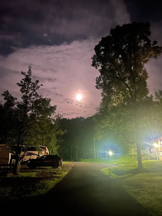 Yough Lake Campground Picture 8
