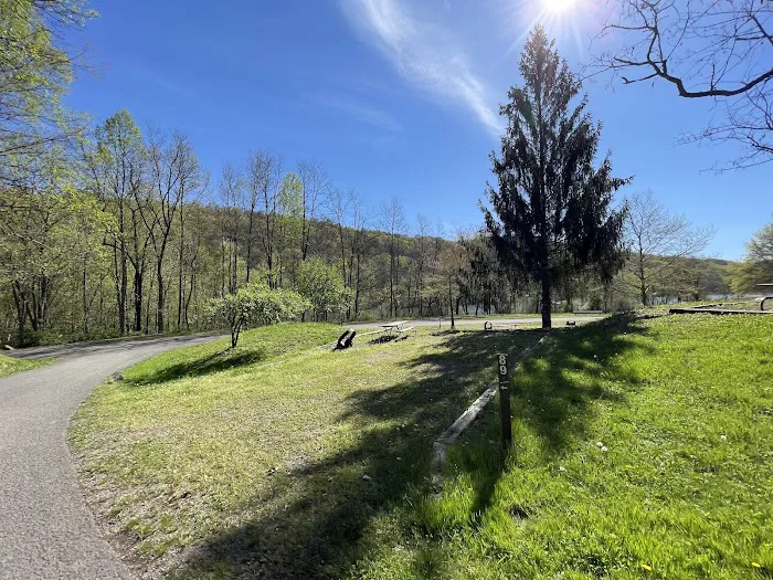 Yough Lake Campground Picture 3