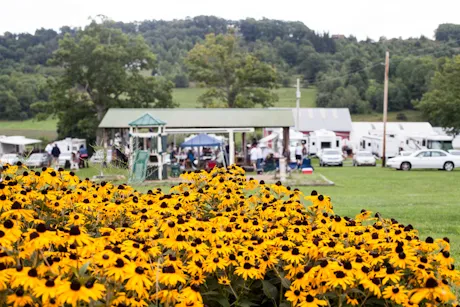 Double G RV Park Picture 8