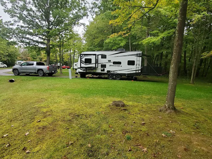 Robert W Craig Campground Picture 10