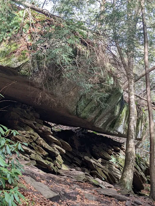 Swallow Falls Campground Picture 6