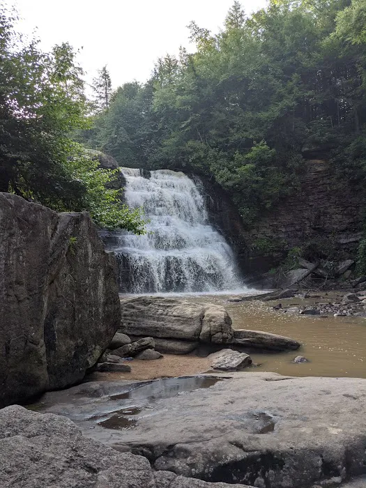 Swallow Falls Campground Picture 5