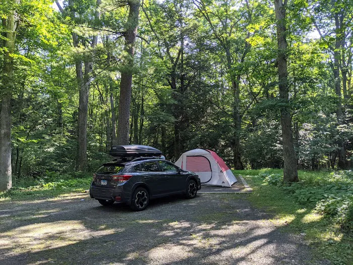 Swallow Falls Campground Picture 7