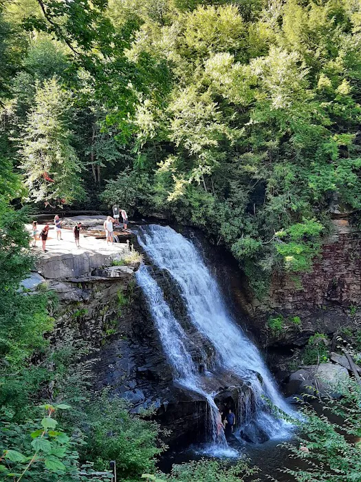 Swallow Falls Campground Picture 10