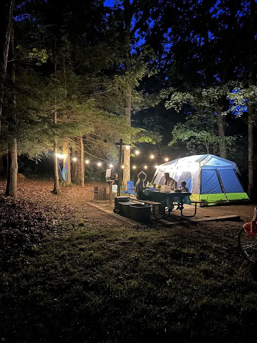 Swallow Falls Campground Picture 9