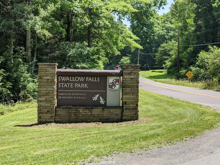 Swallow Falls Campground Picture 8