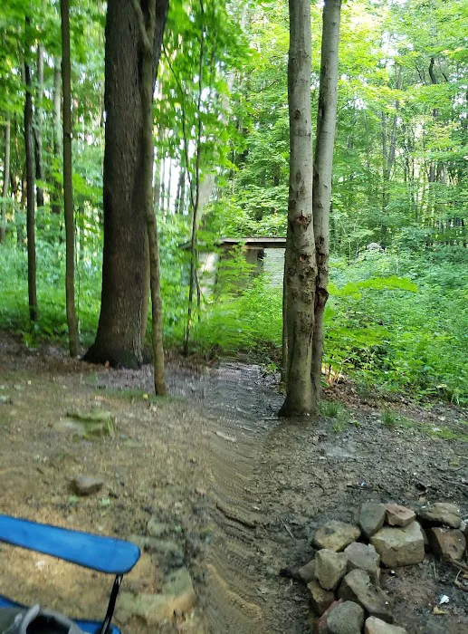 Scarlett Knob Campground Inc Picture 5