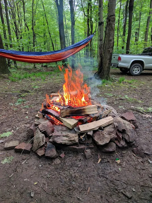 Scarlett Knob Campground Inc Picture 1