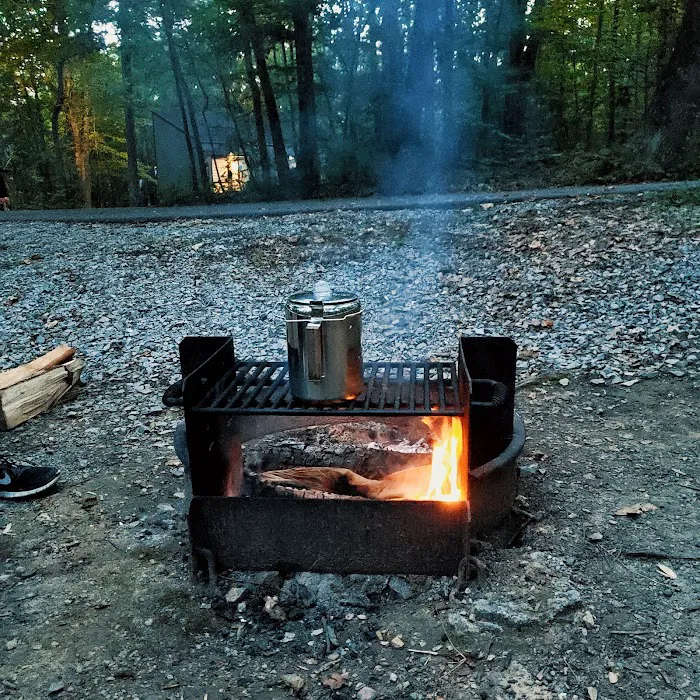Ohiopyle State Park Kentuck Campground Picture 3