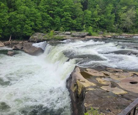 Ohiopyle State Park Kentuck Campground