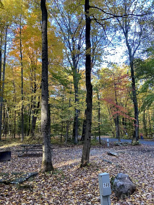 Ohiopyle State Park Kentuck Campground Picture 8