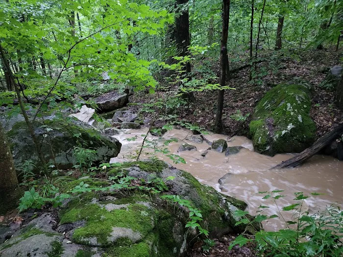 Ohiopyle State Park Kentuck Campground Picture 5
