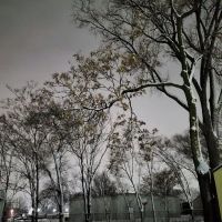 Eastern Villa Mobile Home Park ico