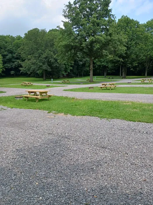 Quiet Acres Camping Picture 4