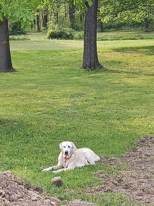 Quiet Acres Camping Picture 2