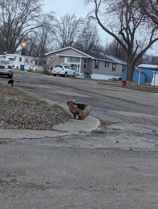 Paris Estates Mobile Home Park Picture 6