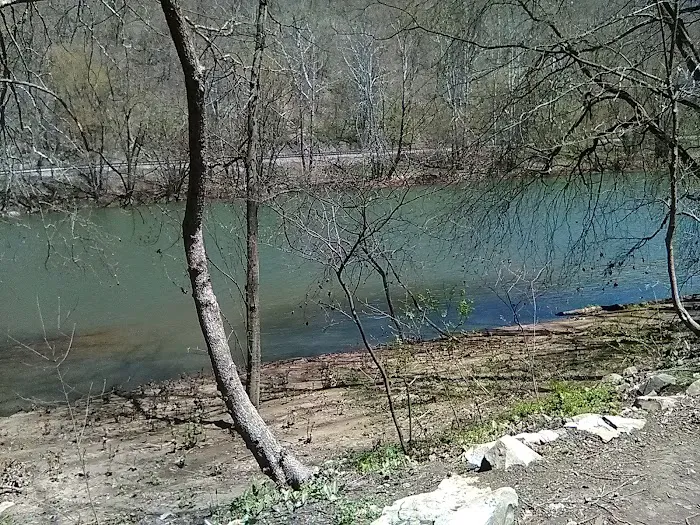 Cedar Creek Trekker Campground Picture 8