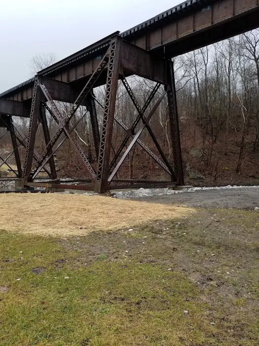 Montour Trail Campground Picture 10