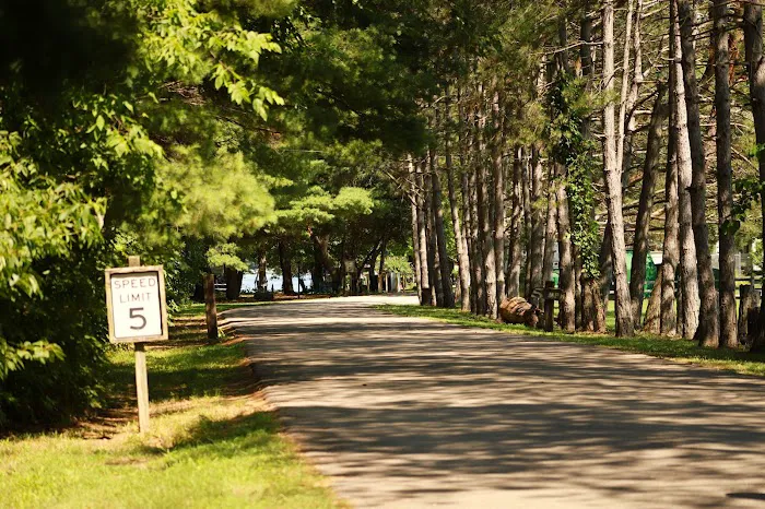 Timber Trails RV Park Picture 10