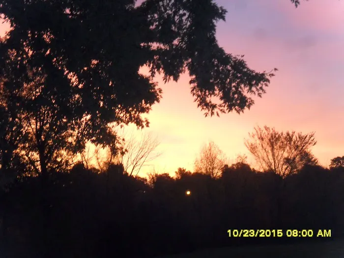 Paw Paw Lake Mobile Home Park Picture 3