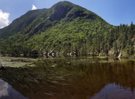 Carter Notch Hut