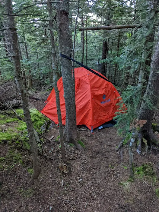 Imp Shelter Picture 9