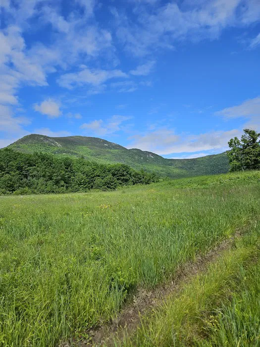 Basin Campground Picture 9