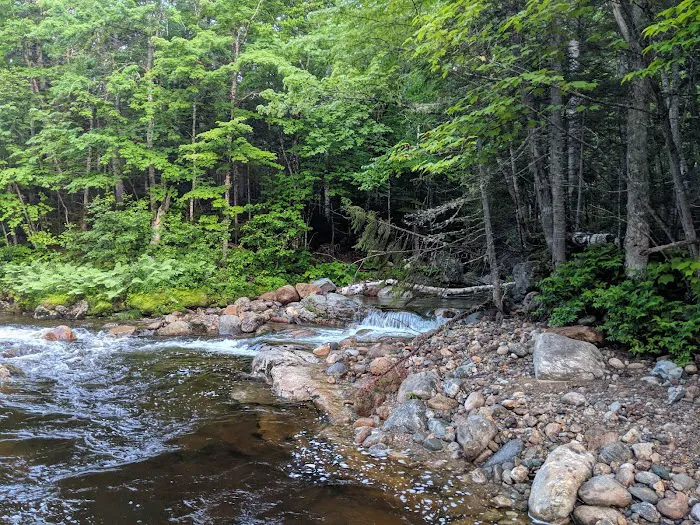 Spruce Brook Tent Site Picture 4