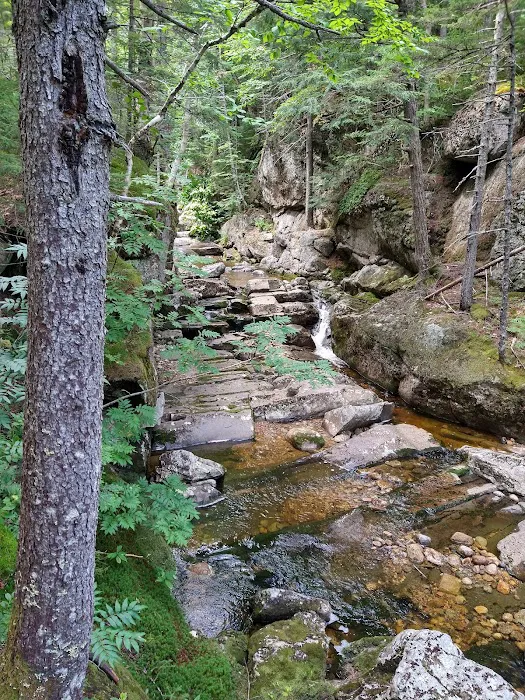 Wild River Campground Picture 5