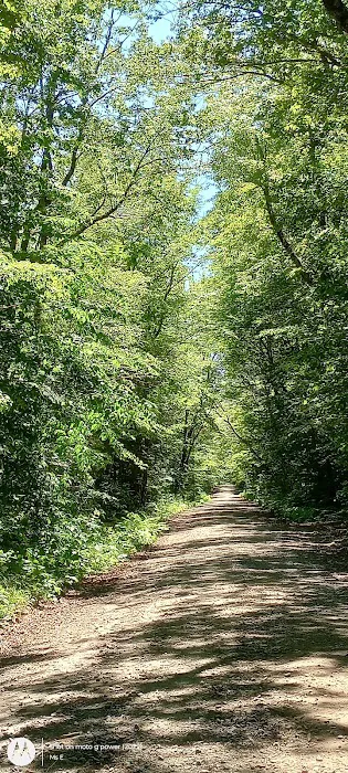 Wild River Campground Picture 9
