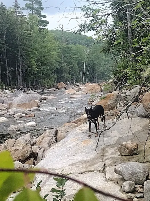 Wild River Campground Picture 1
