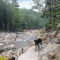 Wild River Campground ico