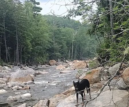 Wild River Campground