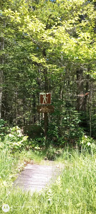 Wild River Campground Picture 10