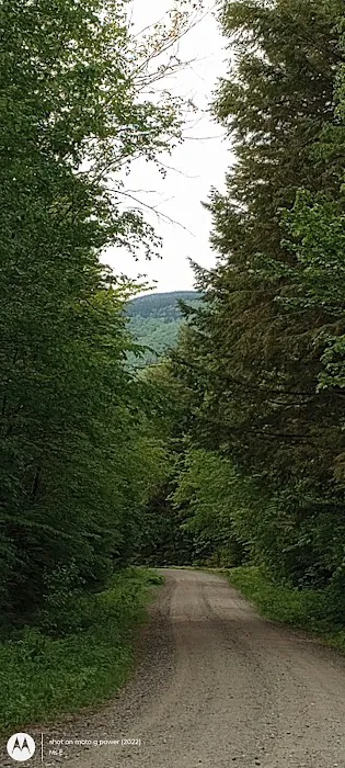 Hastings Campground Picture 6