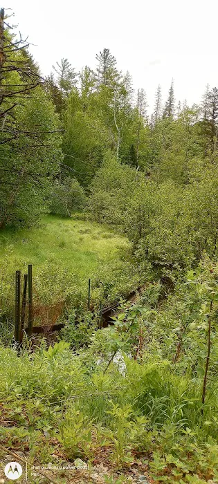 Hastings Campground Picture 5