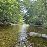 Hastings Campground