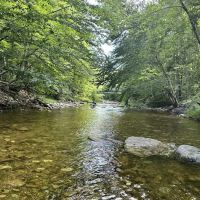 Hastings Campground ico