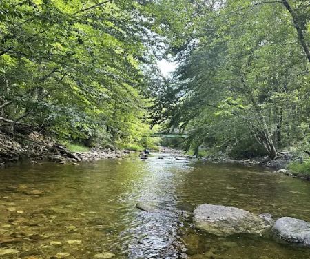 Hastings Campground