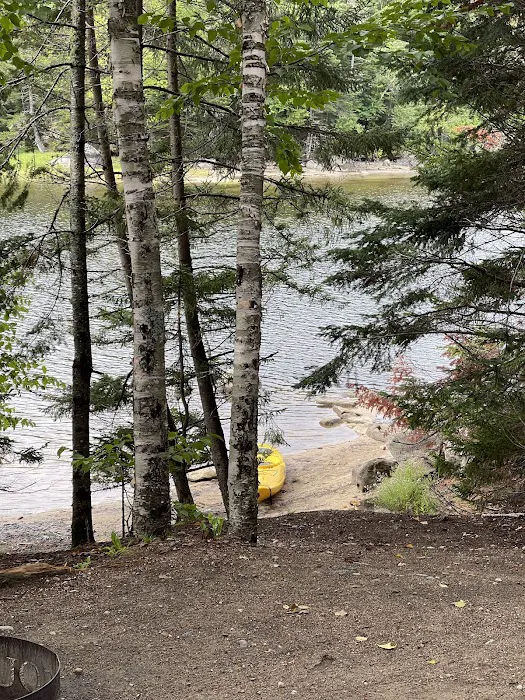 South Arm Campground Picture 2