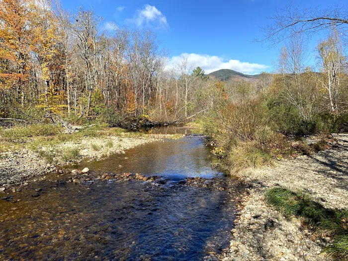 Grafton Notch Campground Picture 2