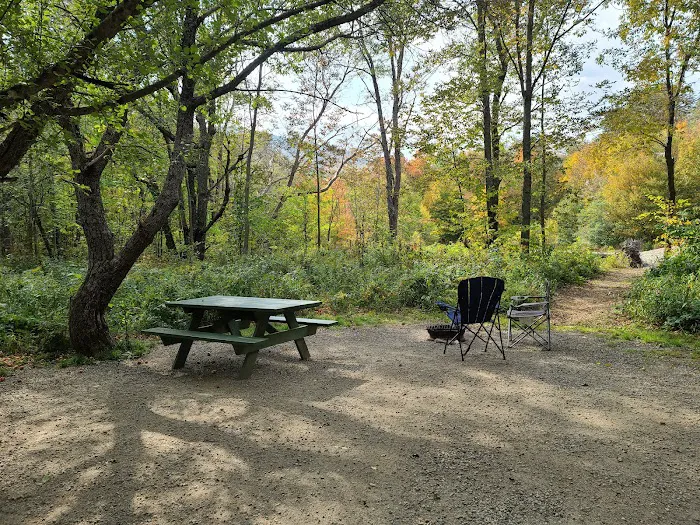 Grafton Notch Campground Picture 3