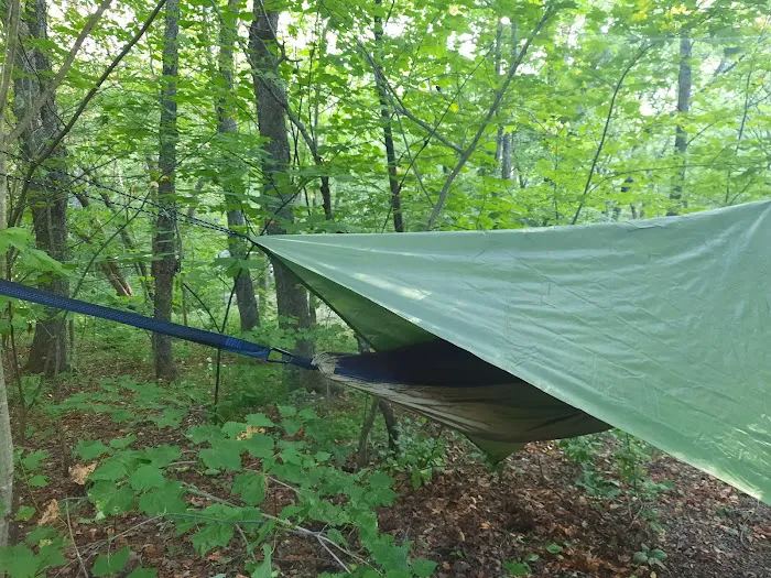 Grafton Notch Campground Picture 7