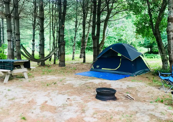 Lone Mountain Riverfront Campground Picture 6