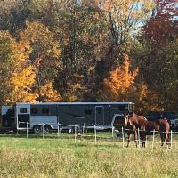 Lone Mountain Riverfront Campground ico