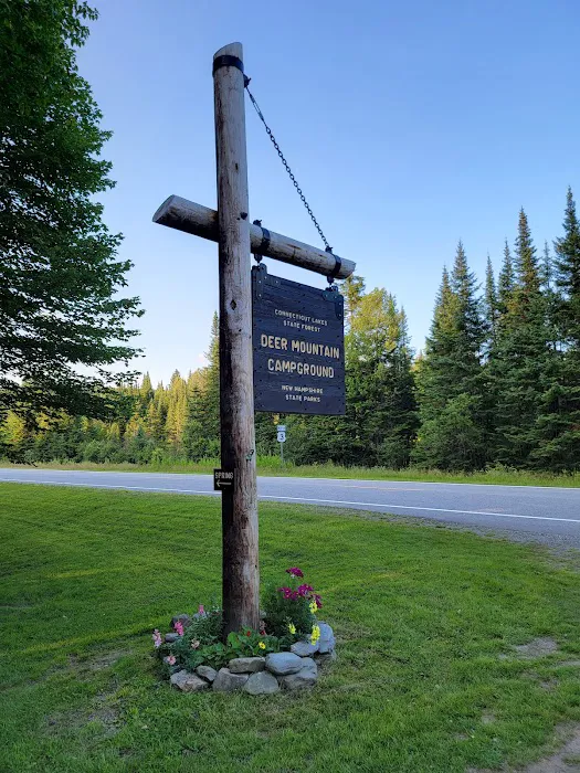 Deer Mountain Campground Picture 6