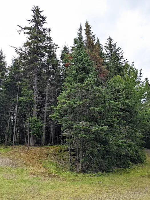 Deer Mountain Campground Picture 4