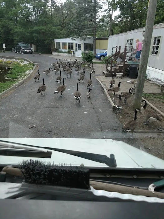 Longacre Mobile Home Park Picture 10